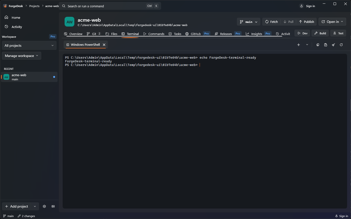 ForgeDesk Terminal view